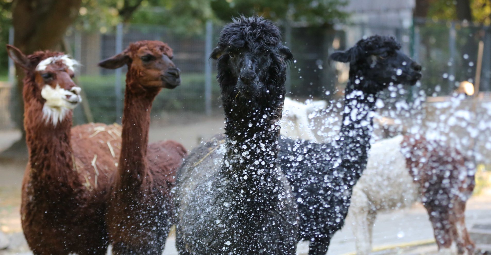 REUSCHENBERG WILDLIFE PARK