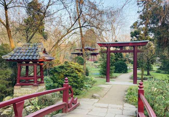 JAPANISCHER GARTEN