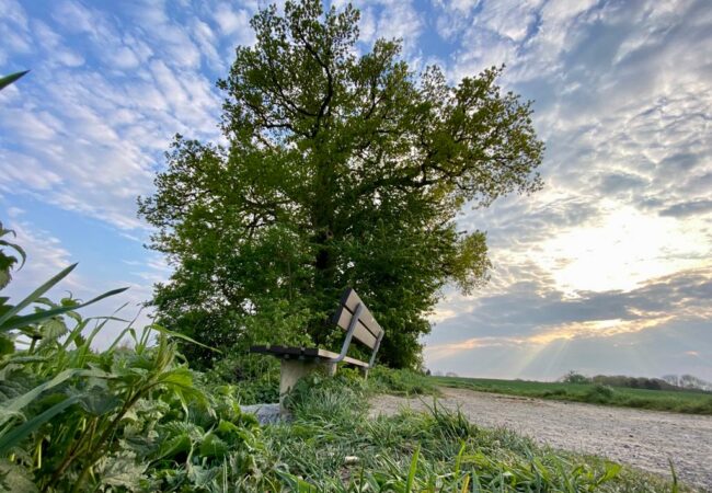 OBSTWANDERWEG
