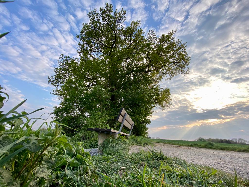 OBSTWANDERWEG