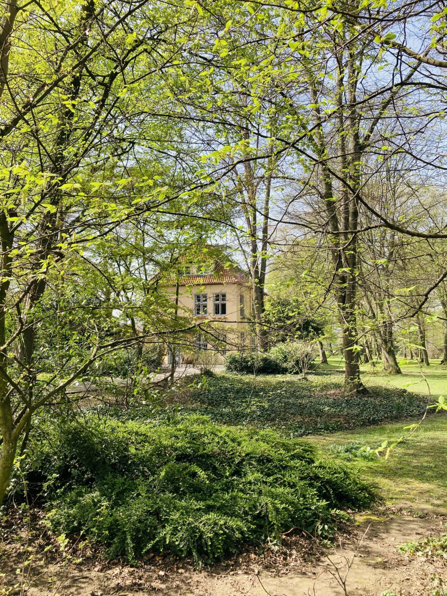 Doktorsburg