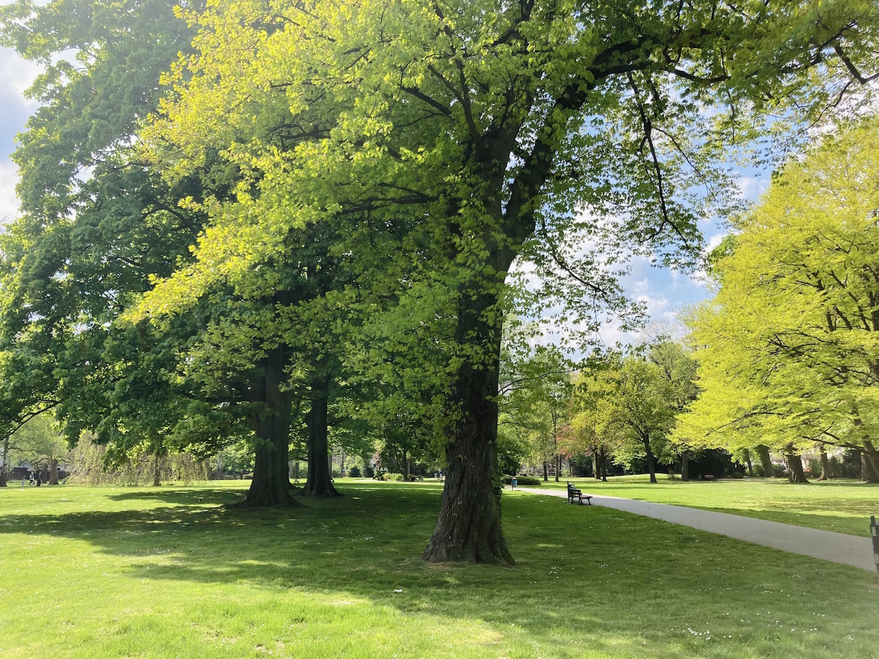 Erholungspark, City Leverkusen