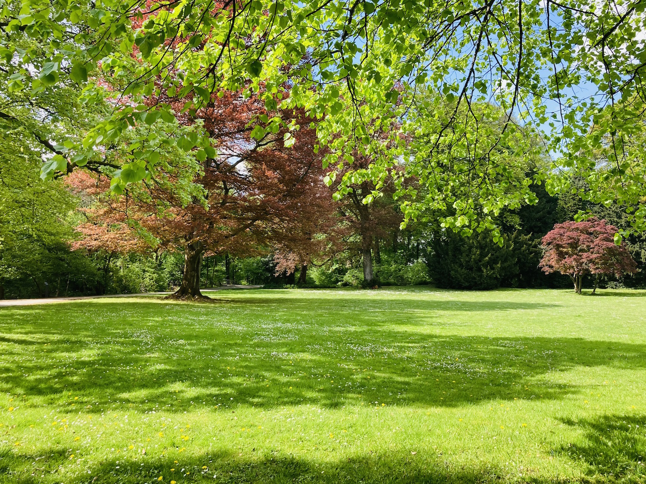 WUPPERMANNPARK, SCHLEBUSCH
