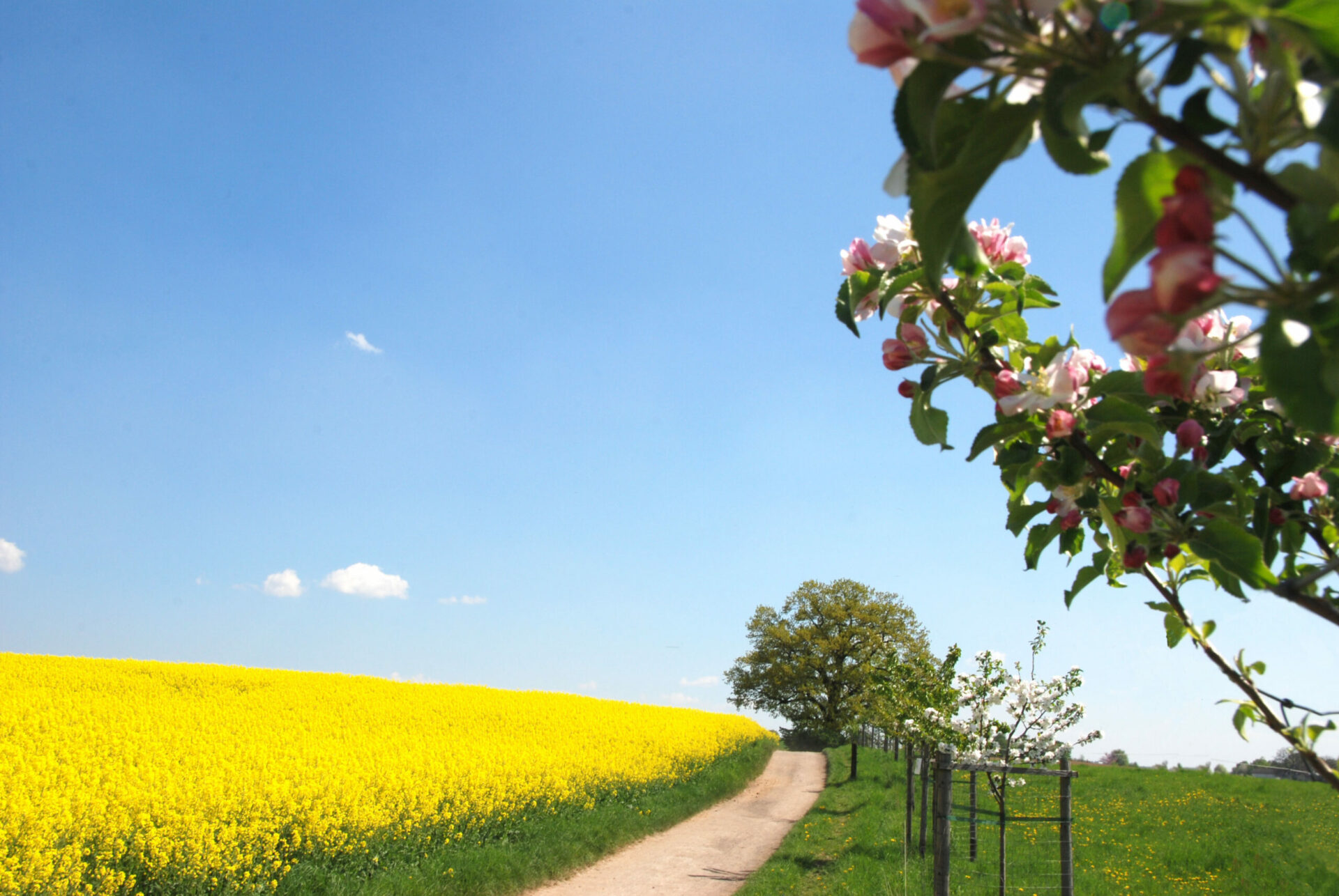 OBSTWANDERWEG
