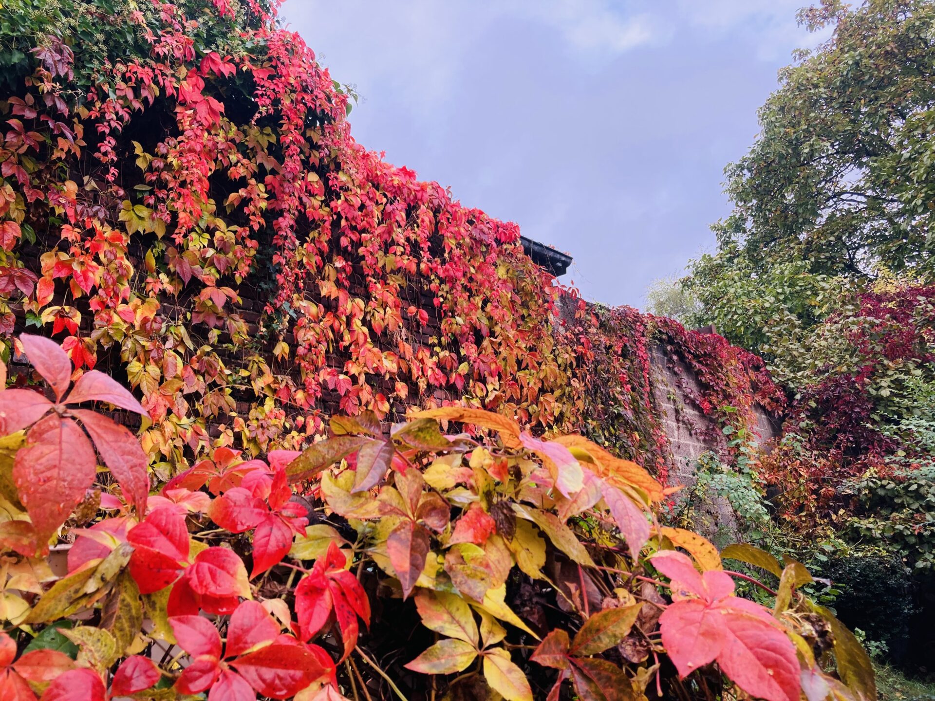 Timo Jander. Man vergisst nicht, wie man schwimmt.
