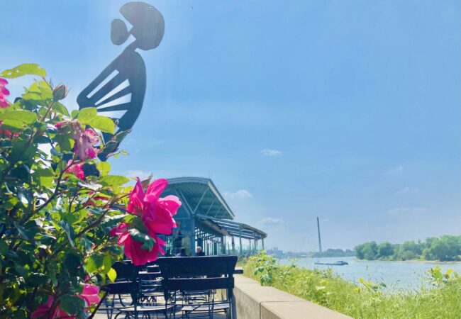 Wacht am Rhein, Leverkusen-City
