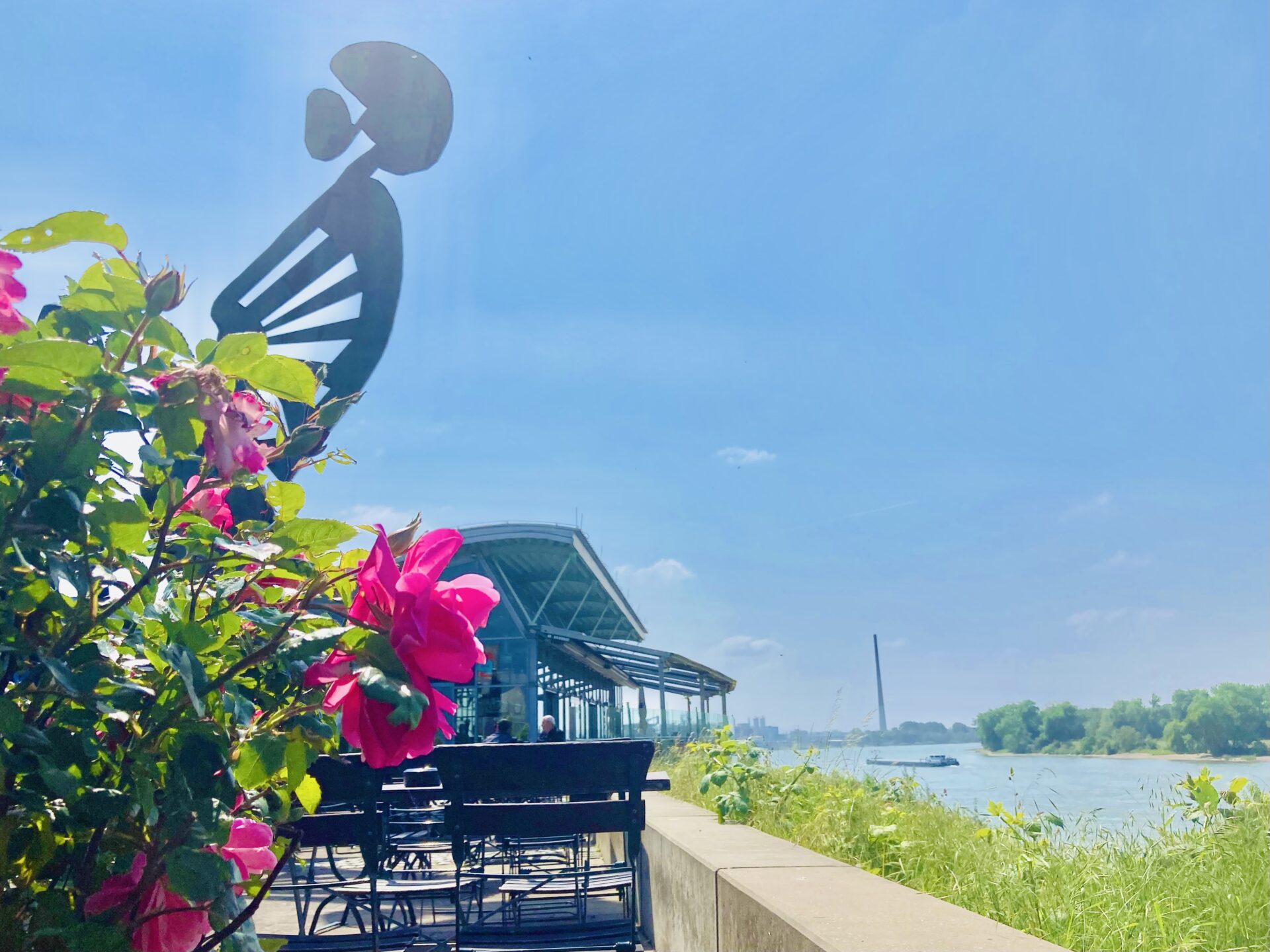 Wacht am Rhein, Leverkusen-City