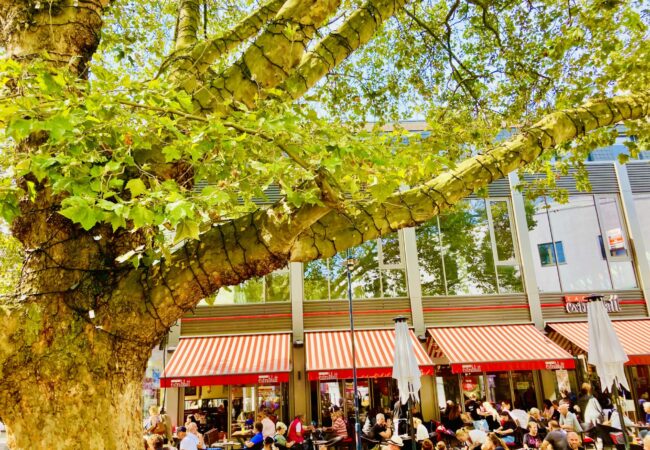 Cafe Extrablatt, Leverkusen City
