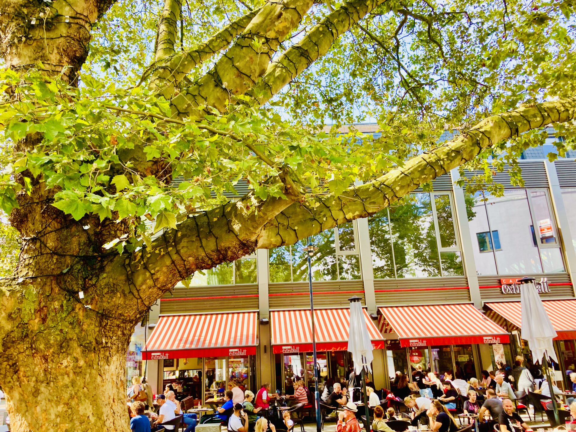 Cafe Extrablatt, Leverkusen City