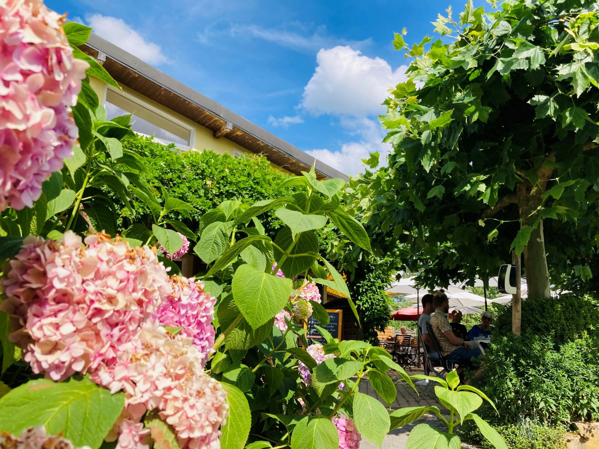 Landcafé Flocke, Imbach