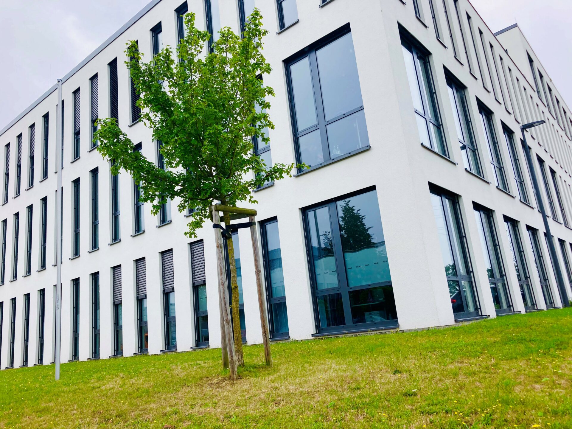 SRH Hochschule Campus Rheinland