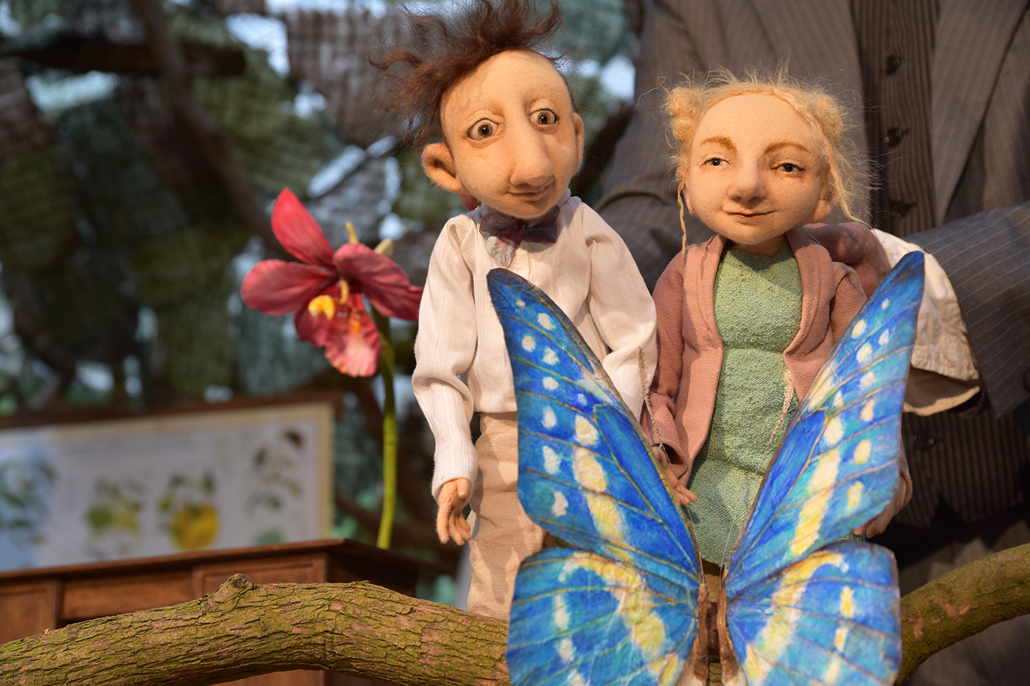 Die Werkstatt der Schmetterlinge