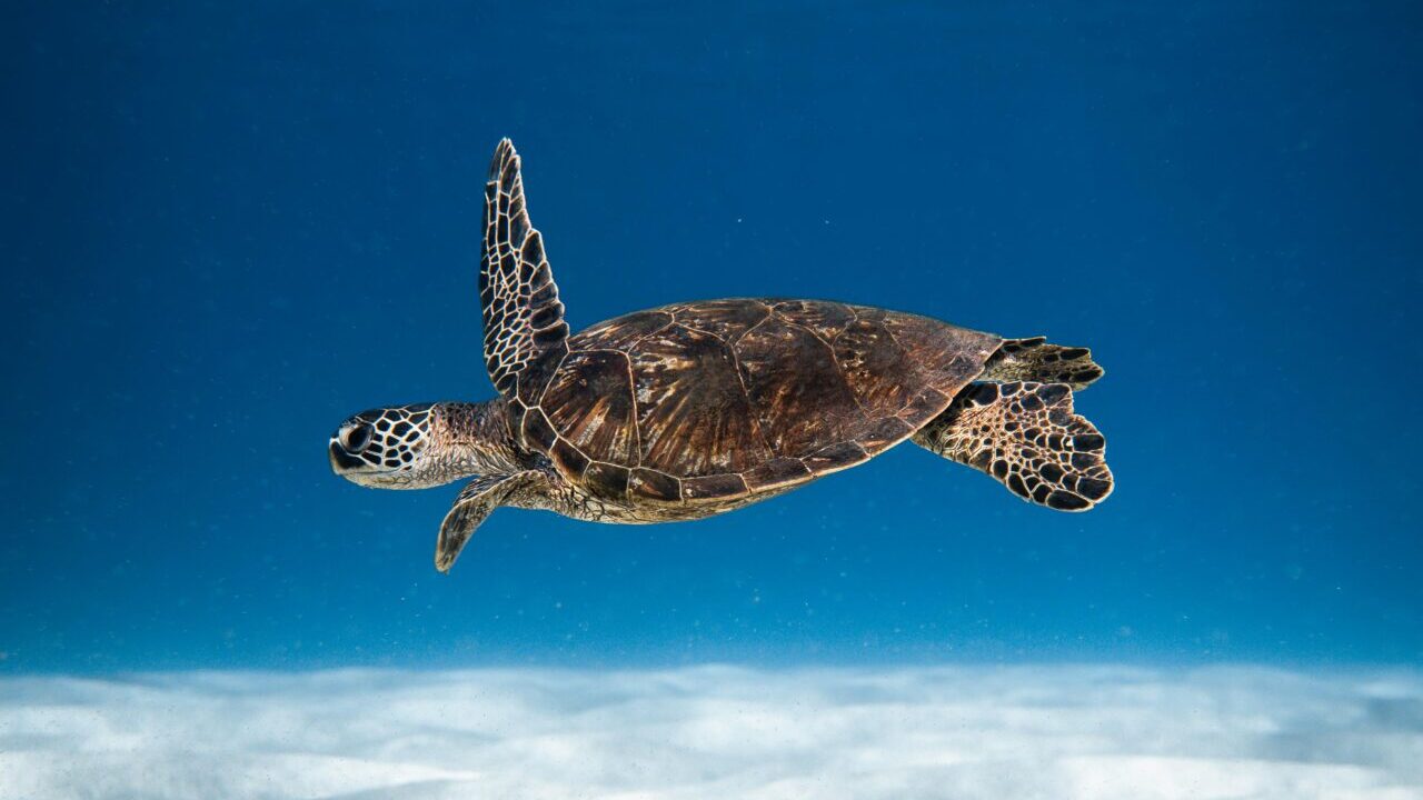 Faszination Meer. Mitmach-Ausstellung.