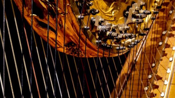 Der ersehnte Fürst ist da