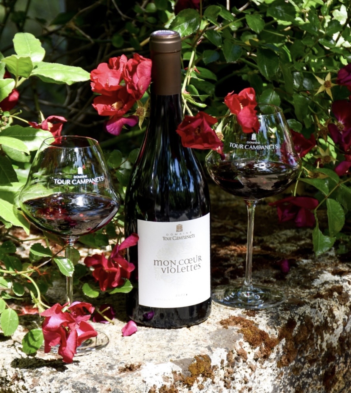 Weinprobe Sommerliche Rotweine