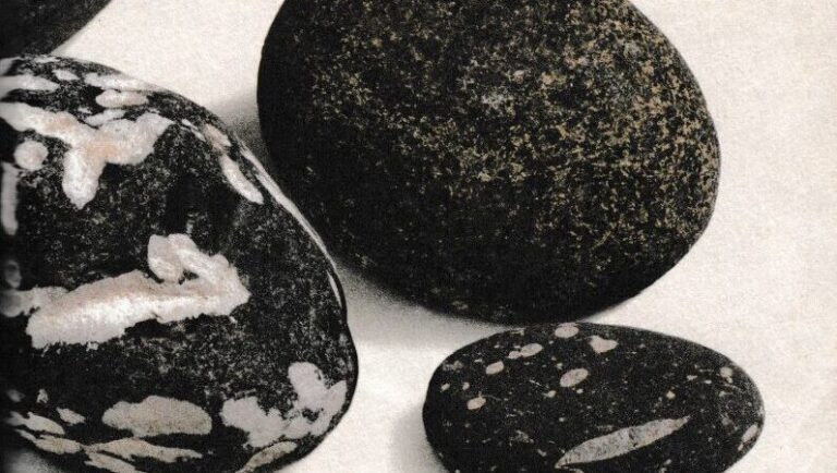 AUF DEN SPUREN VON HILLA IN MANFORT