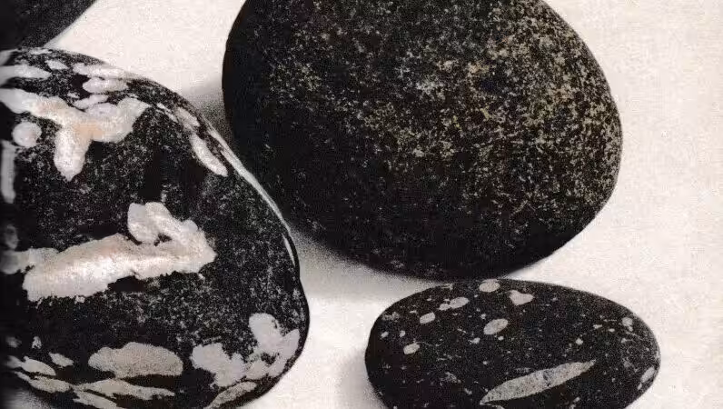 AUF DEN SPUREN VON HILLA IN MANFORT