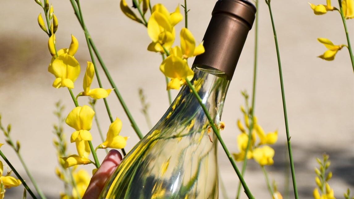 Weinprobe Sommerweine