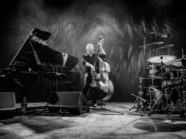 Avishai Cohen Trio. 47. Leverkusener Jazztage.