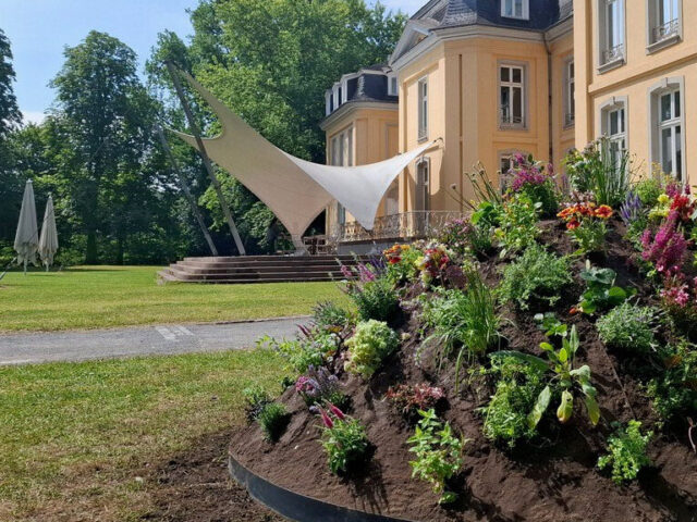 Picknick und Diskurs