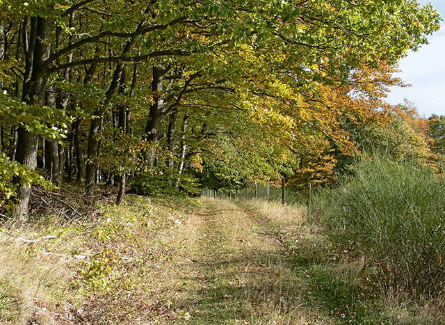 Naturerlebnis Hitdorf
